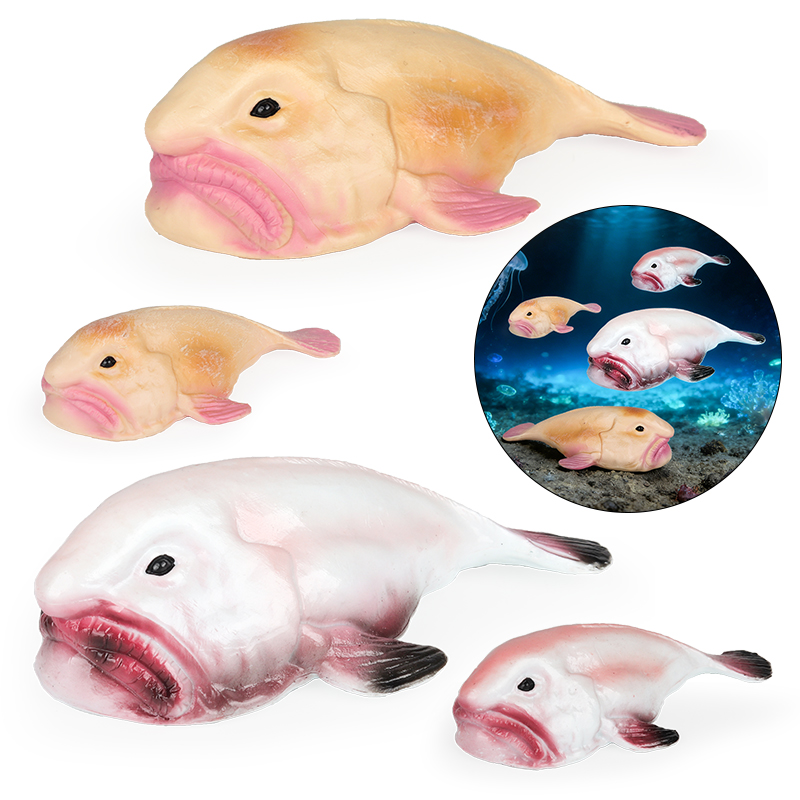 โมเดลปลาบลอฟิช (Blobfish) ของ  - Kids Education In Australia บทวิจารณ์และราคา