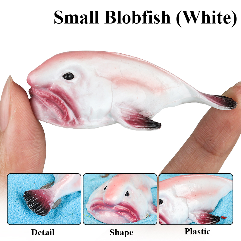 โมเดลปลาบลอฟิช (Blobfish) ของ  - Kids Education In Australia บทวิจารณ์และราคา